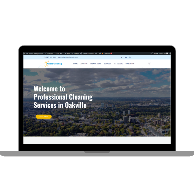 web development service for cleaning company